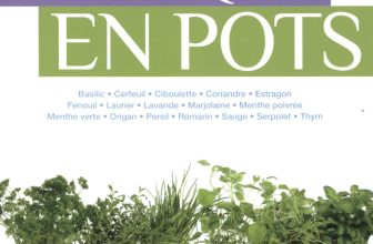 Livre "Aromatiques en pots"
