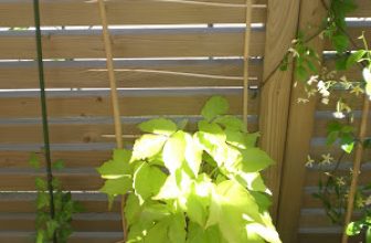 Fabrication d’un tuteur/treillis en bois