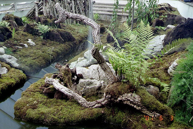 Humidifiez vos cultures sur votre balcon