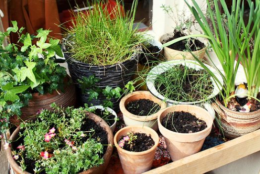 Quelques conseils pour bien débuter