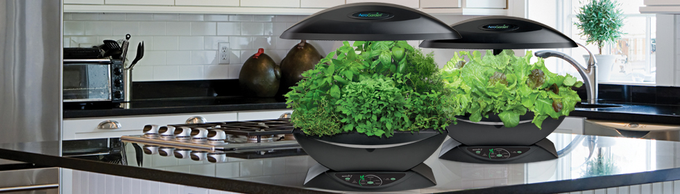 Des potager hydroponiques, chez vous