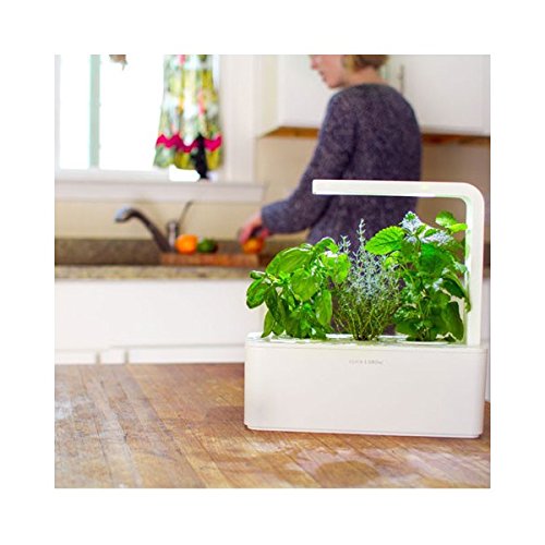 Le mini potager futuriste