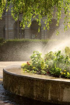 Arrosage du potager au balcon