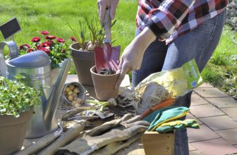 Outils indispensables du potager au balcon