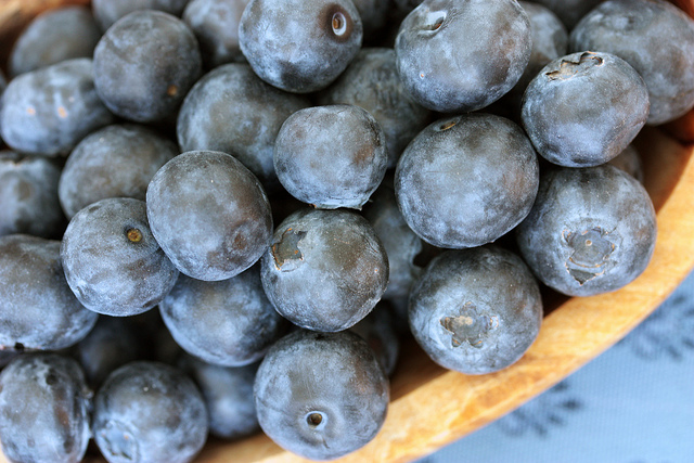 Une belle récolte de myrtilles dans son appartement