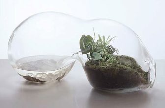 Des légumes en ville: c’est possible