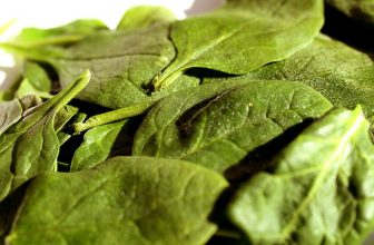Des épinards frais, venant de son balcon