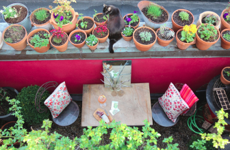 Faîtes pousser des fleurs sur votre balcon