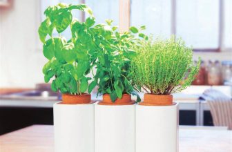 Quel potager d'intérieur choisir ?