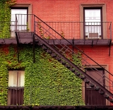 Un balcon fleuri en automne, c&rsquo;est possible