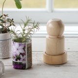 DIY : créer des pots biodégradables